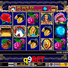 APP oficial da q9bet para mobile